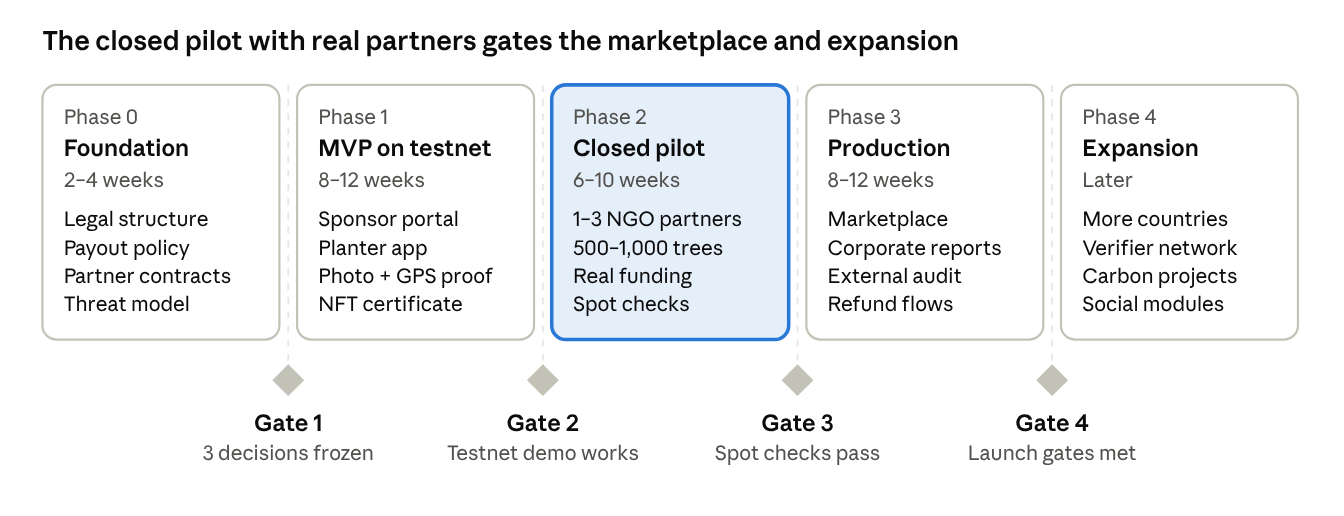 Roadmap with five phases and four gates